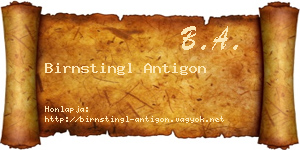 Birnstingl Antigon névjegykártya